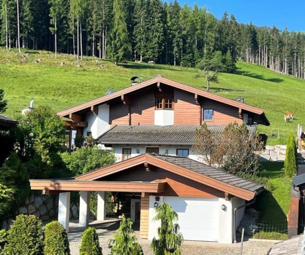 Chalet Steinberg Leogang Extérieur photo